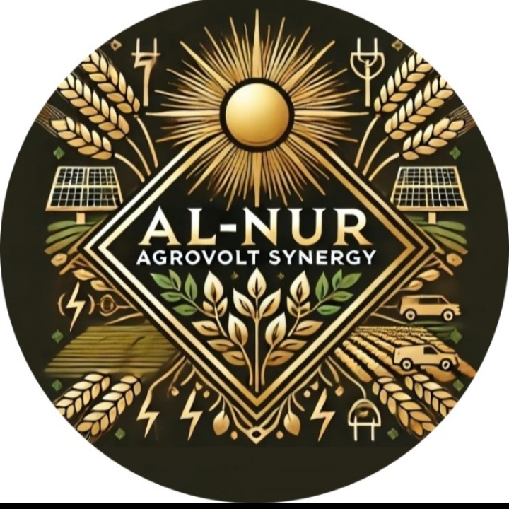 AL-NUR logo